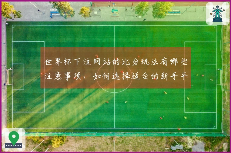 世界杯下注网站的比分玩法有哪些注意事项，如何选择适合的新手平台？